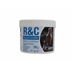 R&C Racing and Competition 